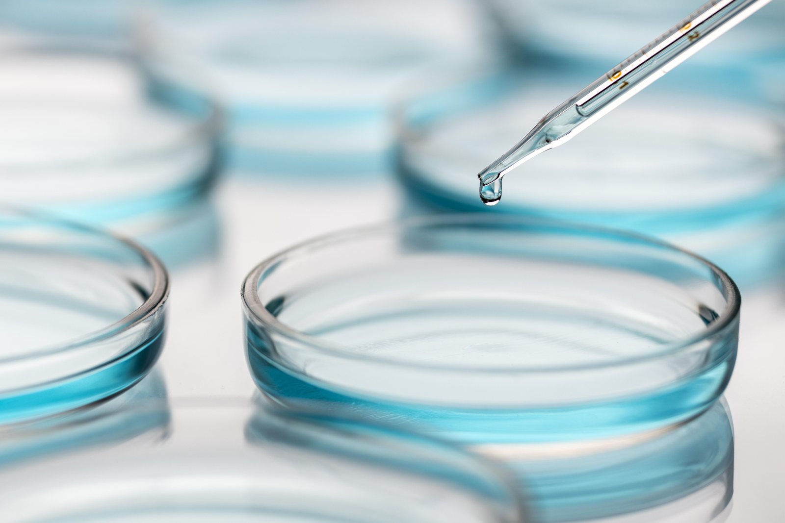 Laboratory formulation work with petri dishes and a dropper